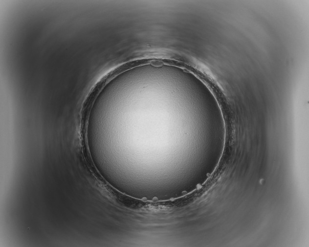 X0000093411312200710190937