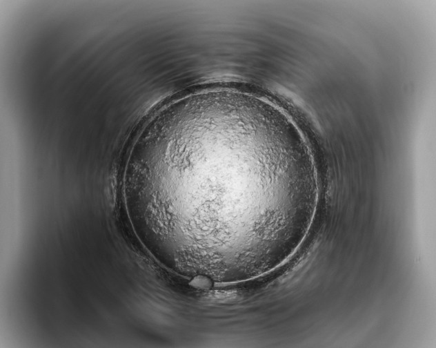 X0000093411313200710190937