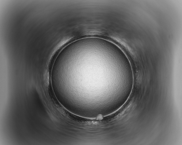 X0000093411317200710190937