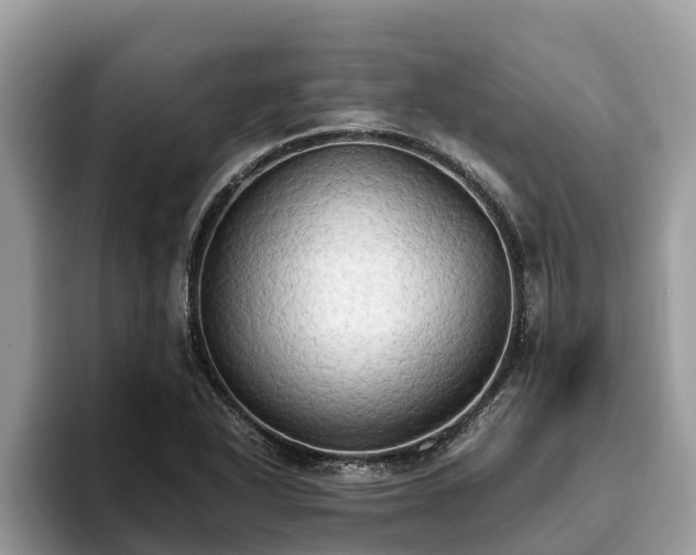 X0000093411318200710190937