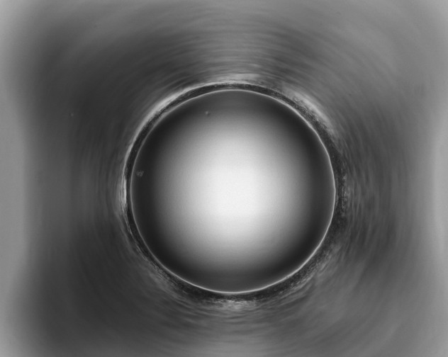 X0000093411324200710190937