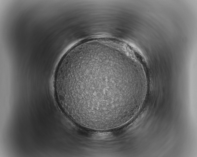 X0000093411325200710190937