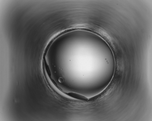 X0000093411328200710190937