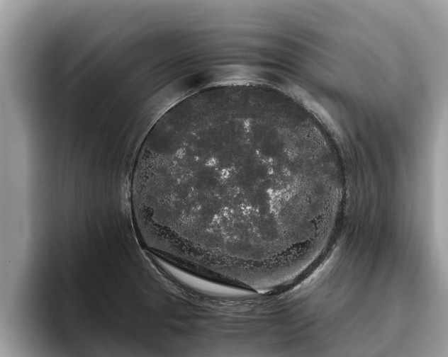 X0000093411329200710190937