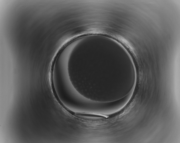 X0000093411334200710190937