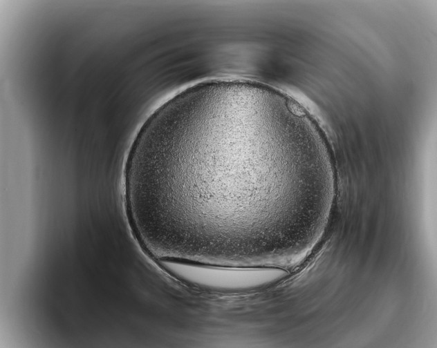 X0000093411335200710190937