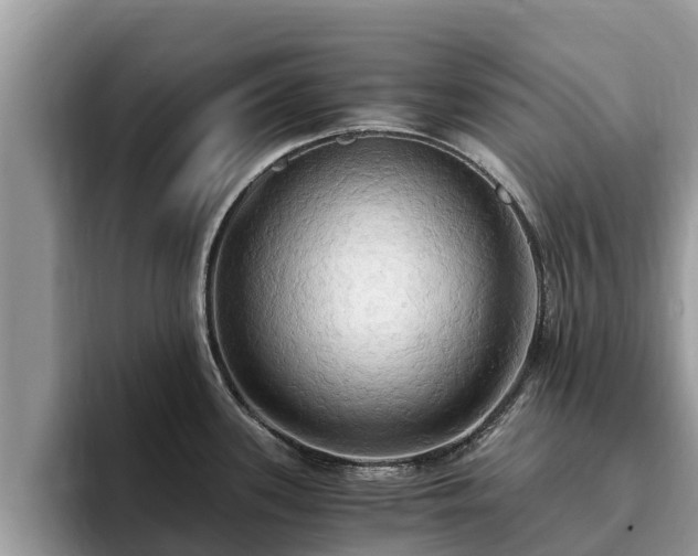 X0000093411339200710190937