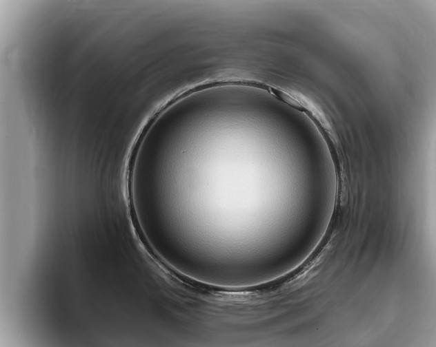 X0000093411342200710190937