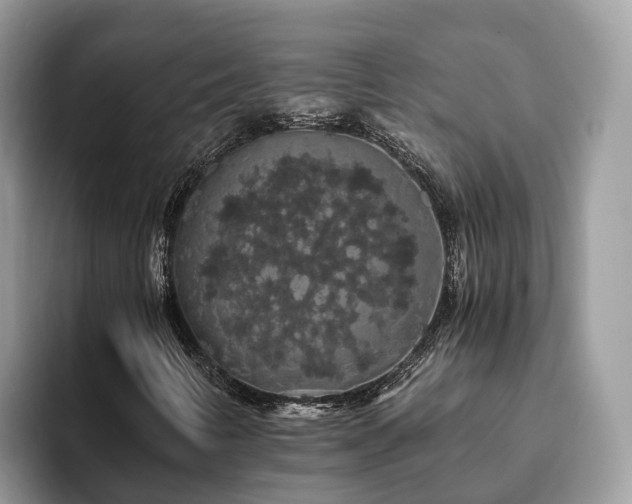 X0000093411346200710190936