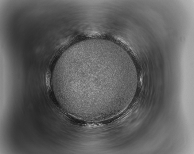 X0000093411348200710190936