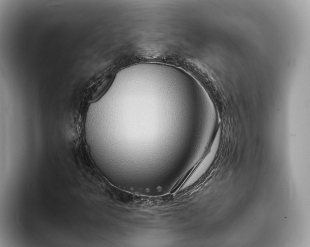 X0000093411349200710190936