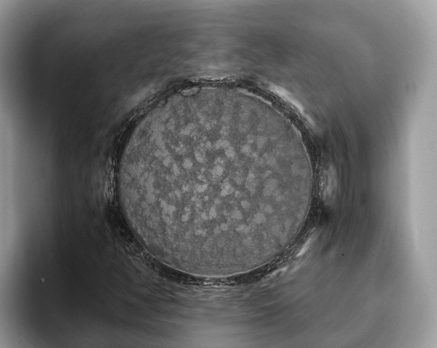 X0000093411350200710190936