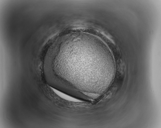 X0000093411351200710190936