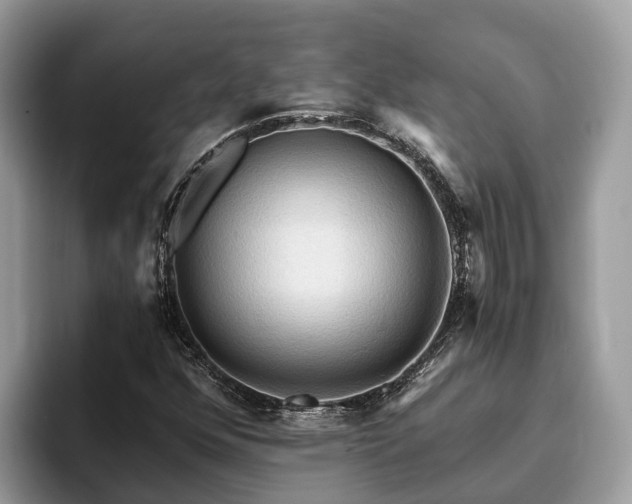 X0000093411352200710190936