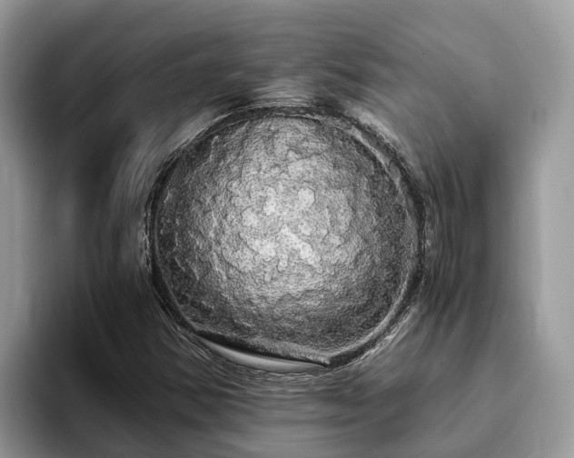 X0000093411354200710190936