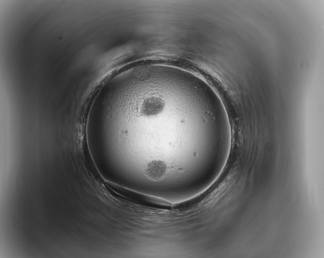 X0000093411355200710190936