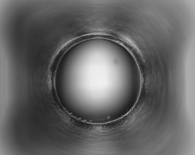 X0000093411360200710190936