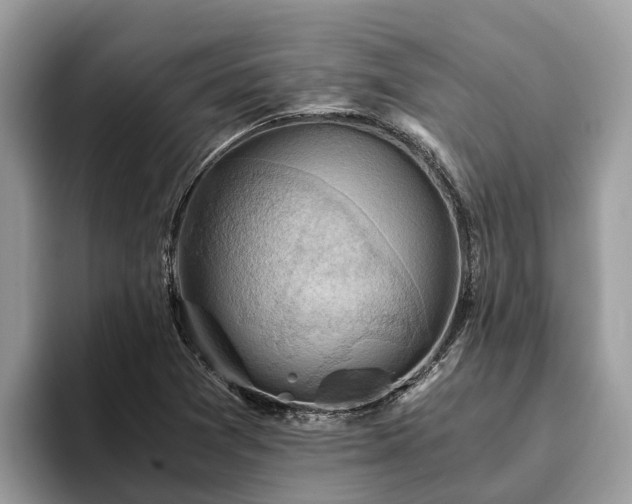 X0000093411361200710190936