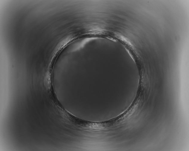 X0000093411362200710190936