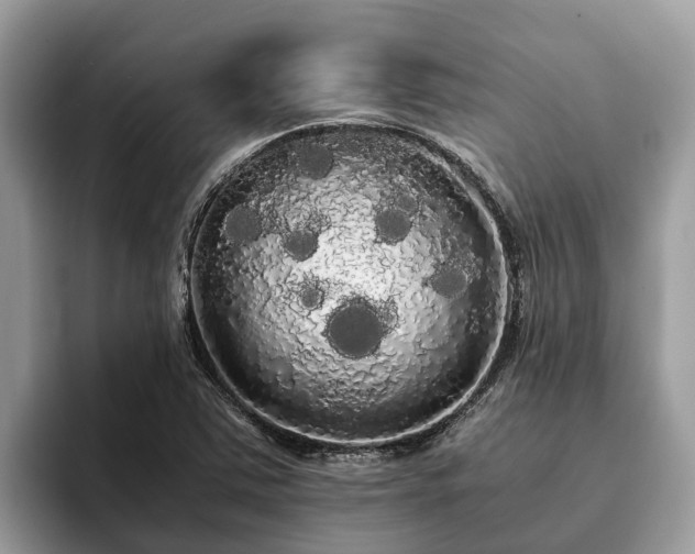 X0000093411363200710190936