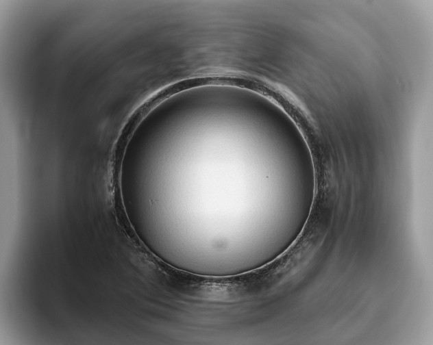 X0000093411364200710190936