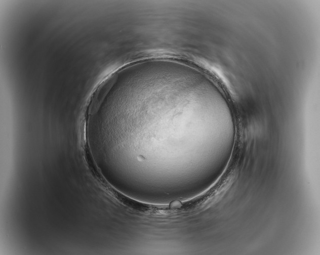 X0000093411365200710190936