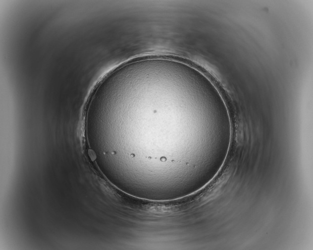 X0000093411366200710190936