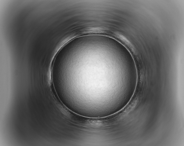 X0000093411370200710190936