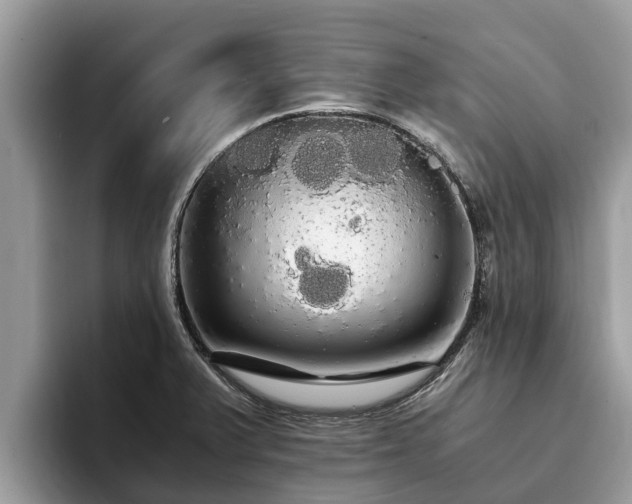 X0000093411375200710190936