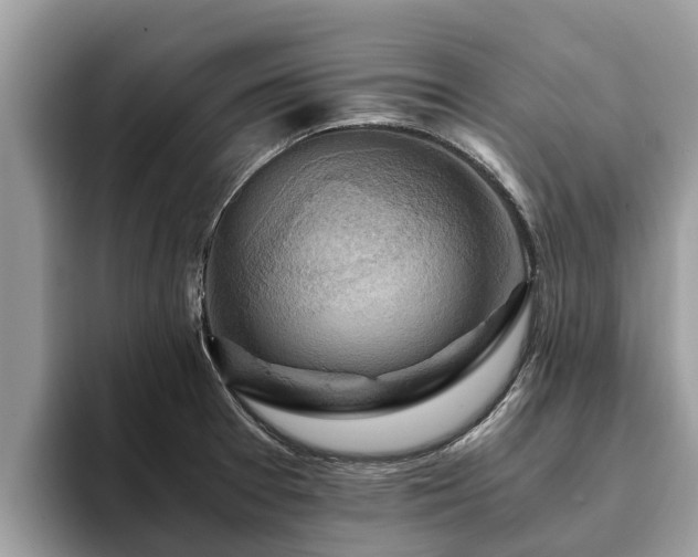 X0000093411377200710190936