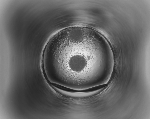 X0000093411379200710190936