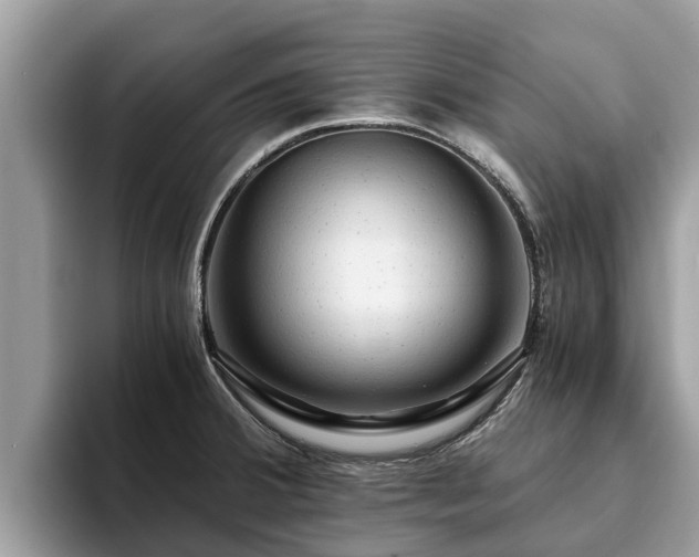 X0000093411380200710190936