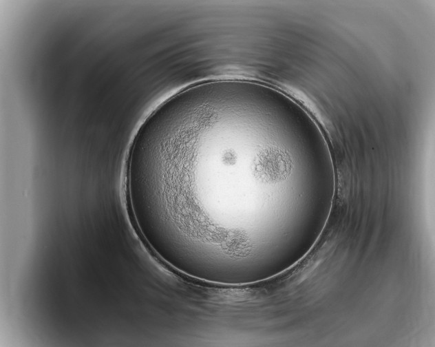 X0000093411387200710190936