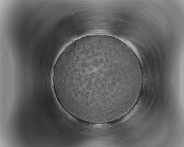 X0000093411390200710190936