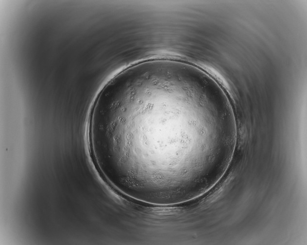 X0000093411391200710190936