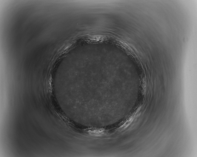 X0000093411394200710190935