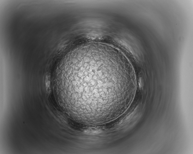 X0000093411396200710190935