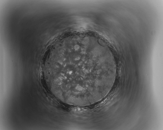 X0000093411397200710190935