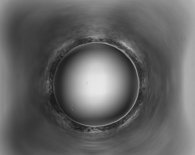 X0000093411398200710190935