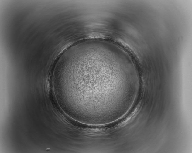 X0000093411401200710190935