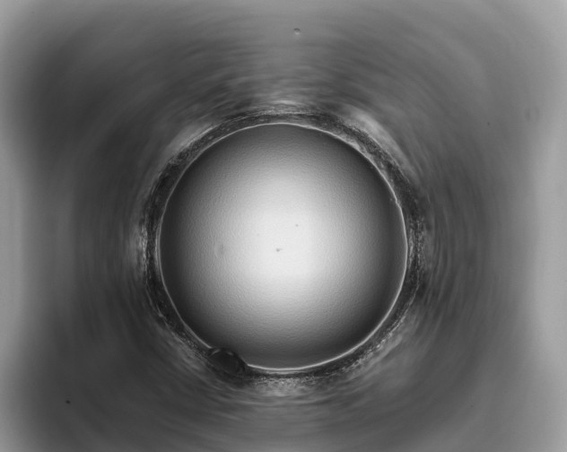 X0000093411402200710190935