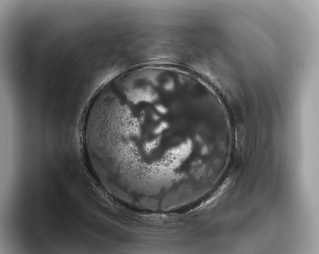 X0000093411405200710190935