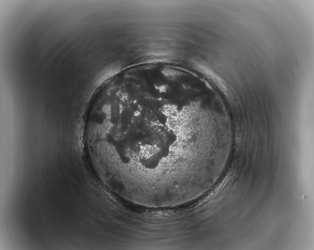 X0000093411411200710190935