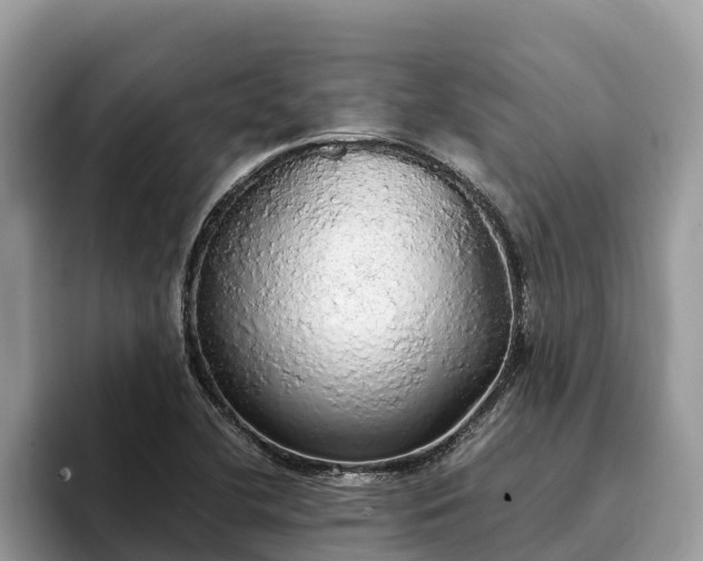 X0000093411412200710190935