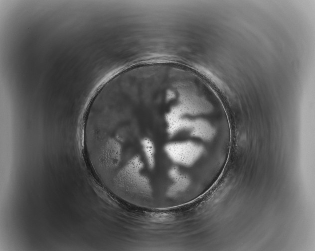 X0000093411413200710190935