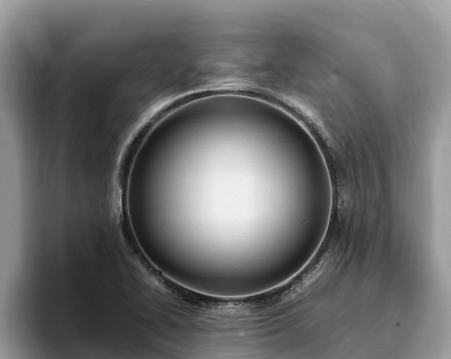 X0000093411414200710190935