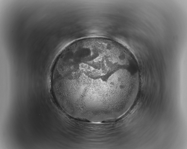 X0000093411415200710190935