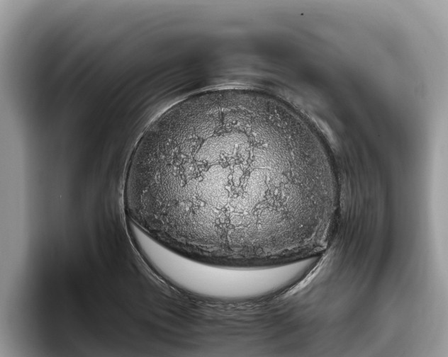 X0000093411417200710190935