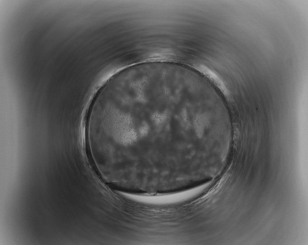 X0000093411419200710190935