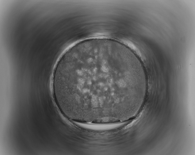 X0000093411421200710190935